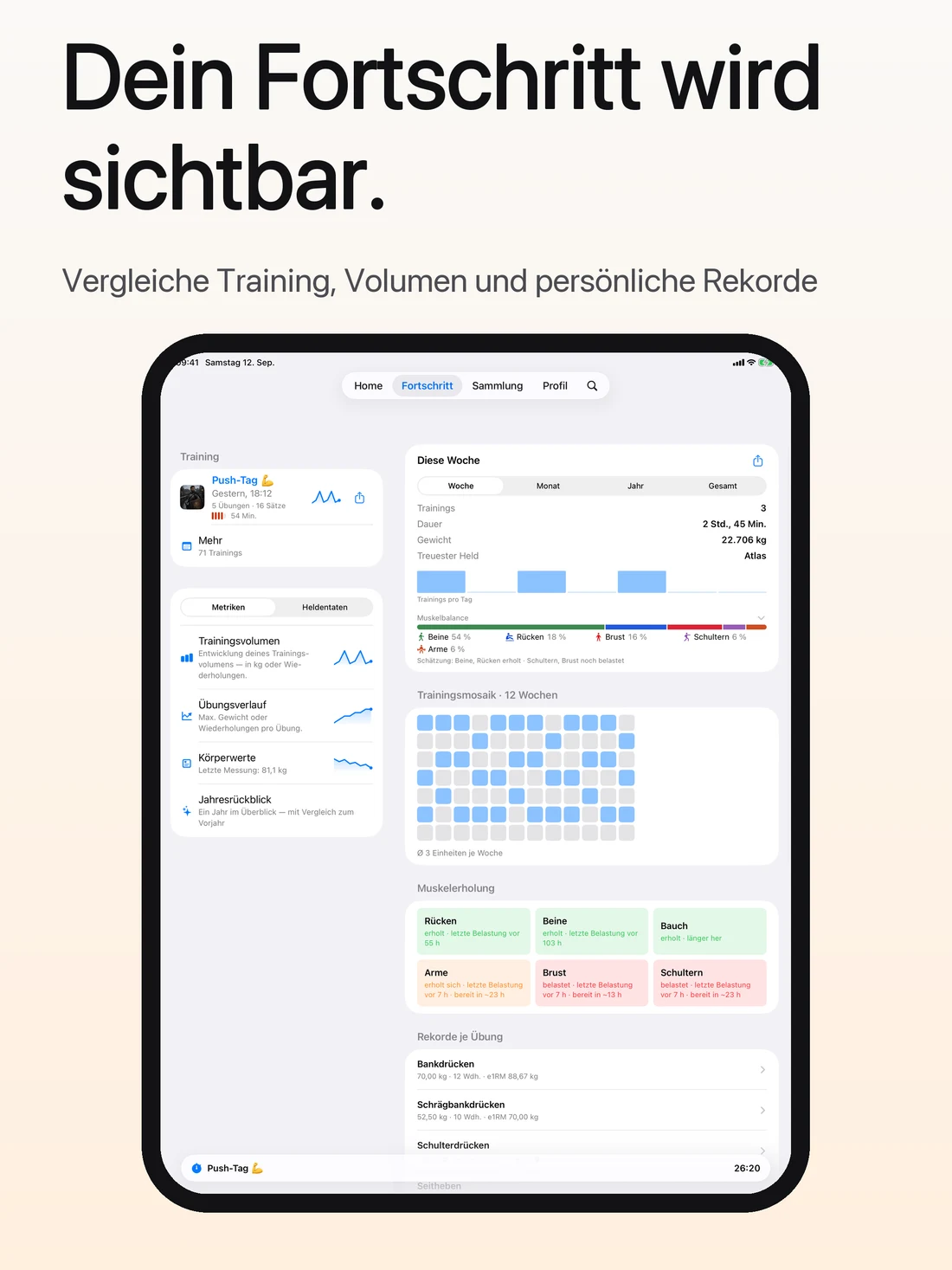 Dein Fortschritt auf dem iPad